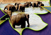 Leaflet Design, Pramotional Services Leaflet Design, Pramotional Services