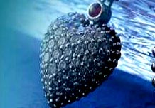 Website design, Flash Animation Website design, Flash Animation